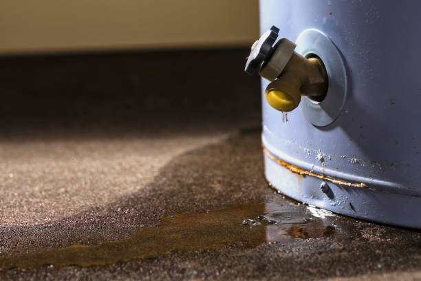 Best Emergency water damage restoration  in Middlebury, IN