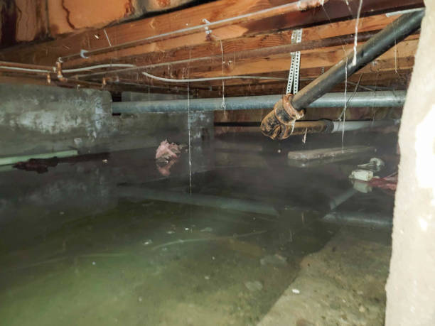 Best Commercial water damage restoration  in Middlebury, IN