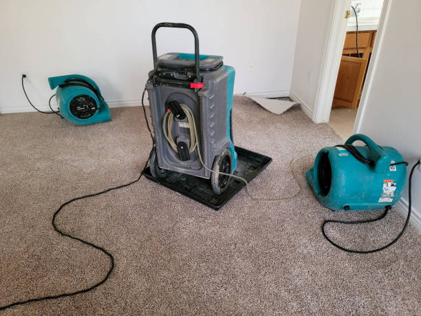 Best Flood damage cleanup  in Middlebury, IN