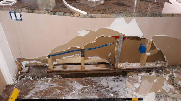 Best Water damage contractors near me  in Middlebury, IN