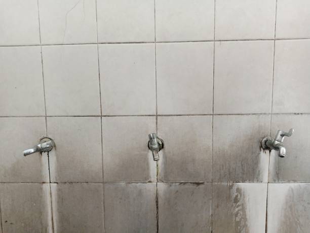 Best Fire Damage Restoration  in Middlebury, IN
